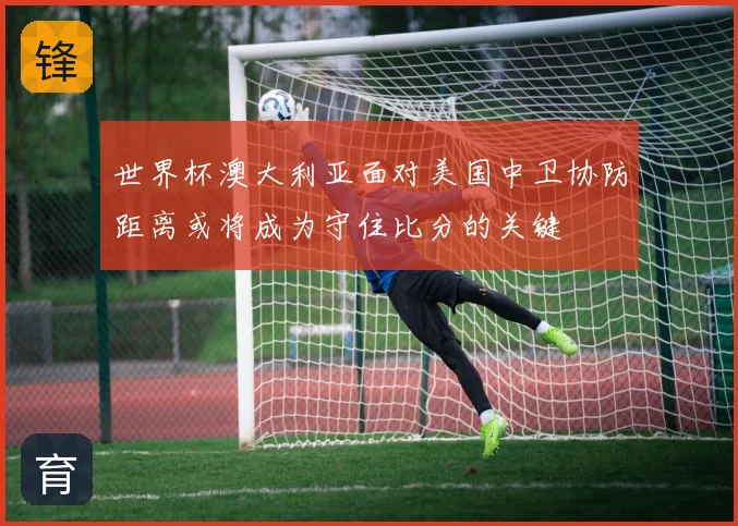 世界杯澳大利亚面对美国中卫协防距离或将成为守住比分的关键